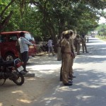 நிர்வாகத்தின் குரலுக்கு ஓடிவந்த போலீசு14